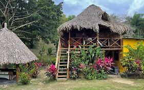 Ecohostal Palmares Del Rio