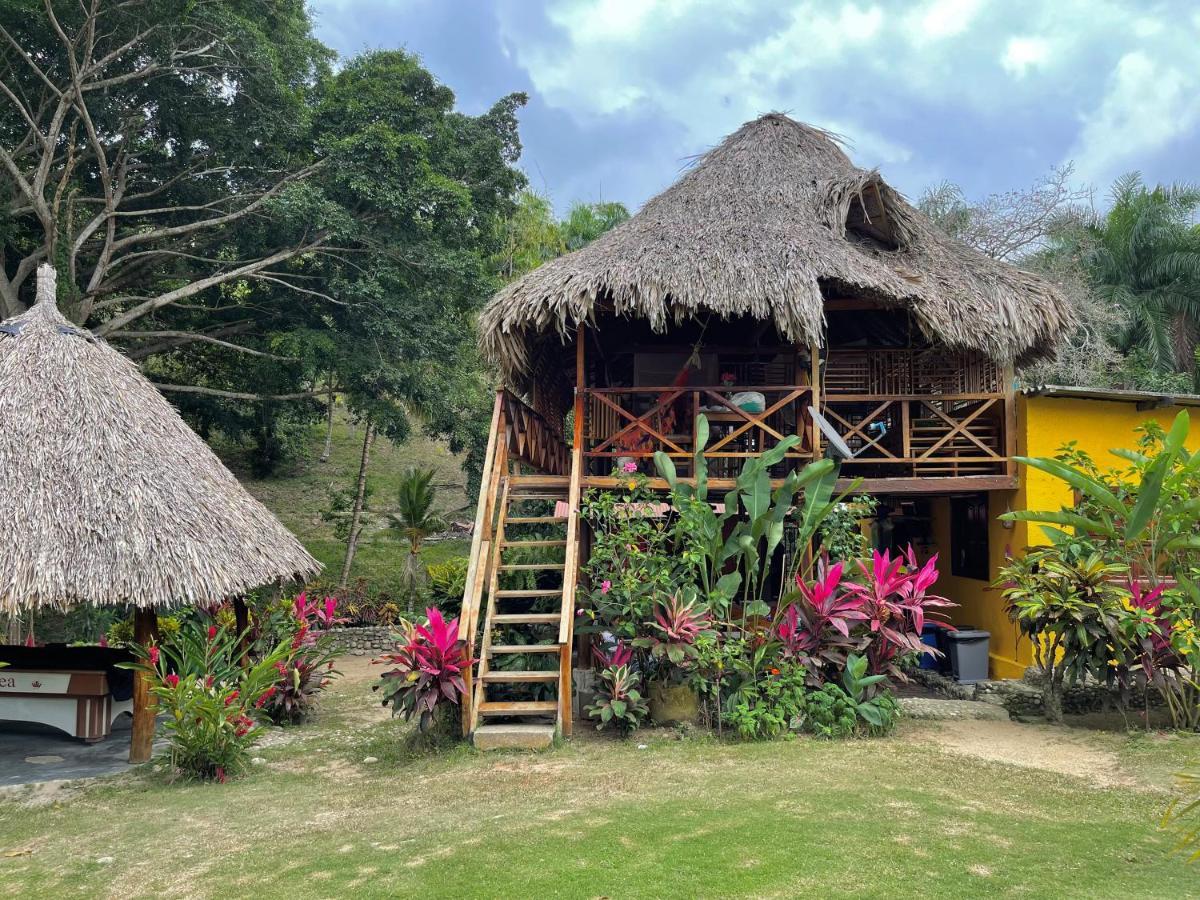 Ecohostal Palmares Del Rio Guachaca Exterior foto