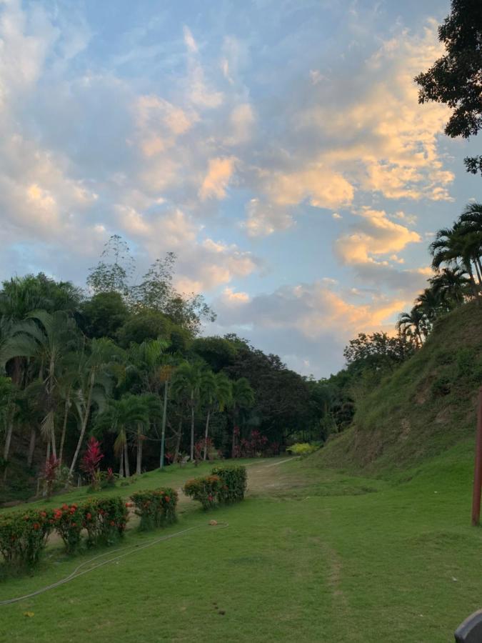 Ecohostal Palmares Del Rio Guachaca Exterior foto