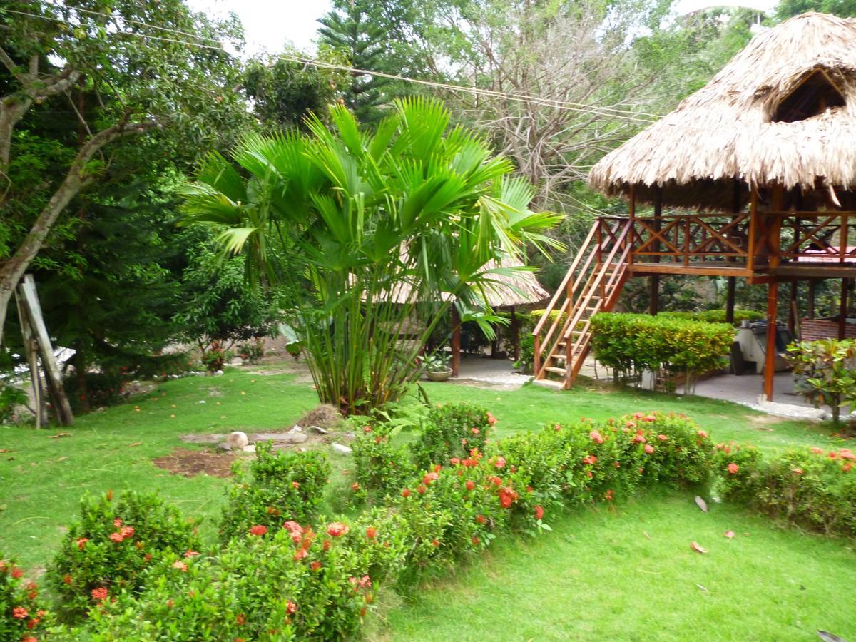 Ecohostal Palmares Del Rio Guachaca Exterior foto