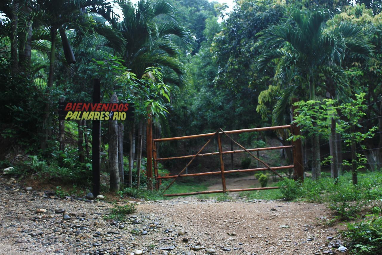 Ecohostal Palmares Del Rio Guachaca Exterior foto