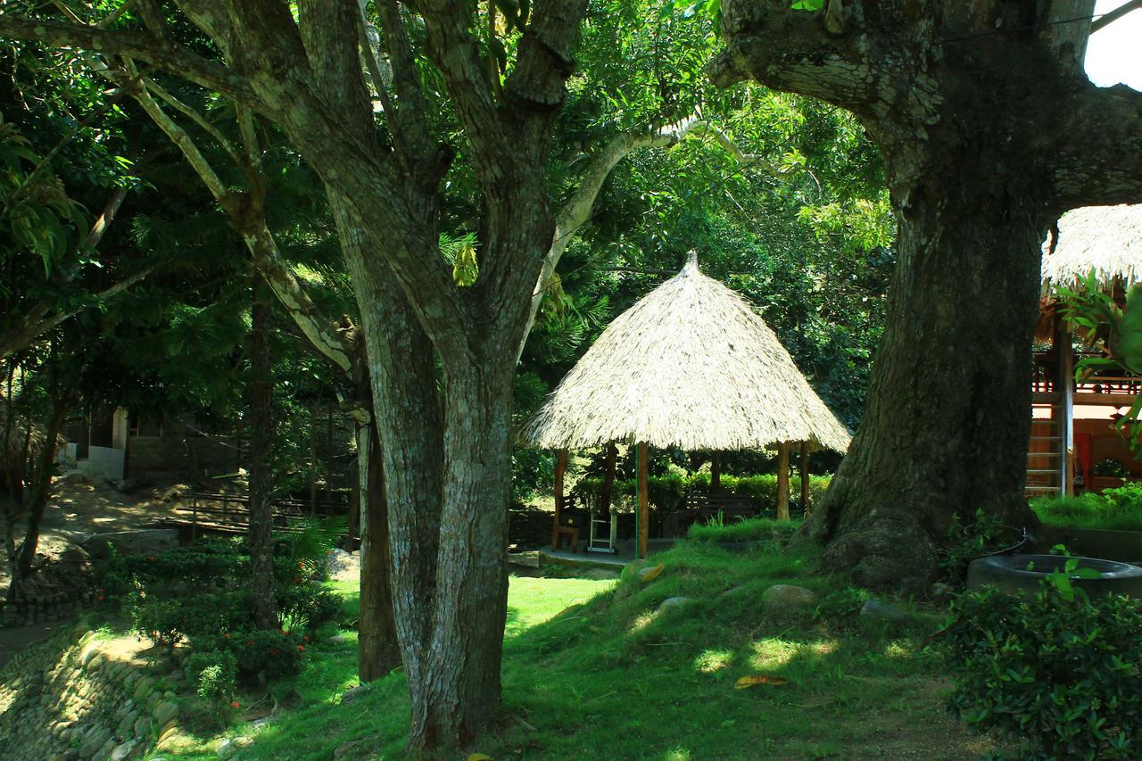 Ecohostal Palmares Del Rio Guachaca Exterior foto
